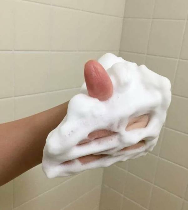 Daily Picdump