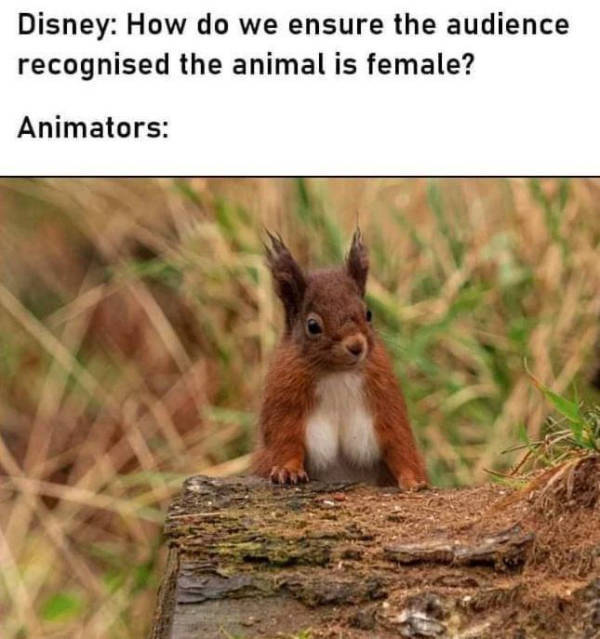 Content Image