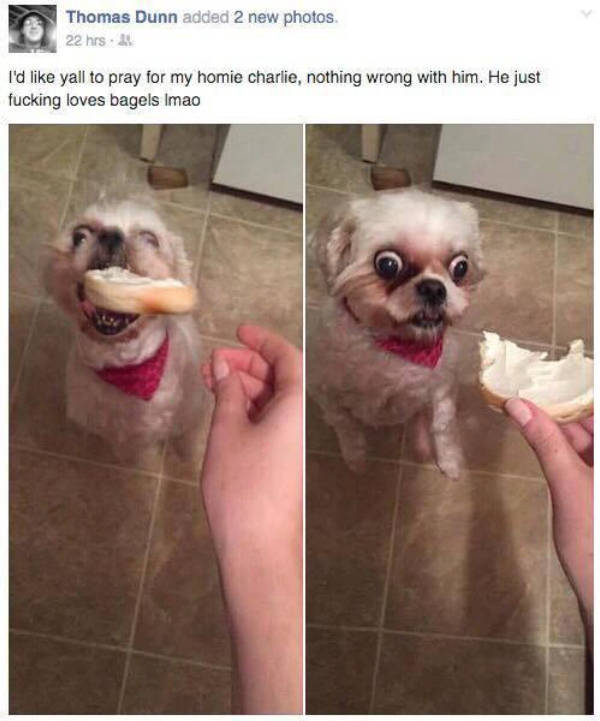 Content Image