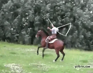 Daily Gifdump
