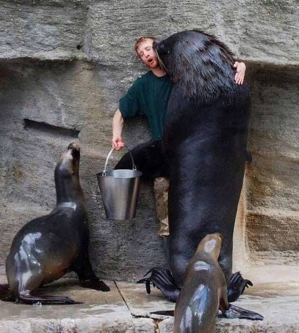 Content Image