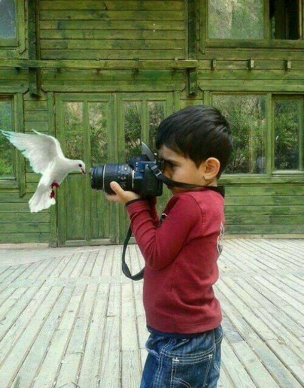 Content Image