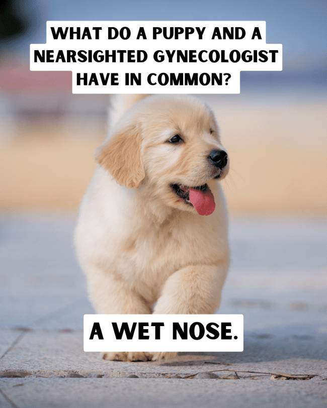 Dirty Jokes + Stock Images = A Fun Time