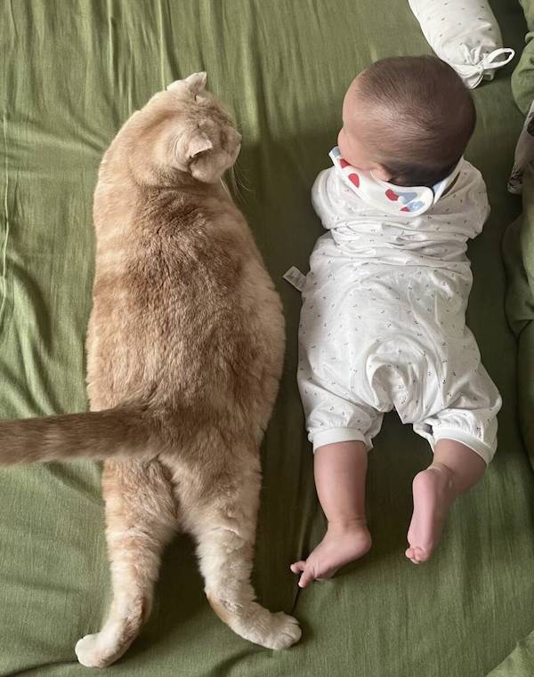 Daily Picdump