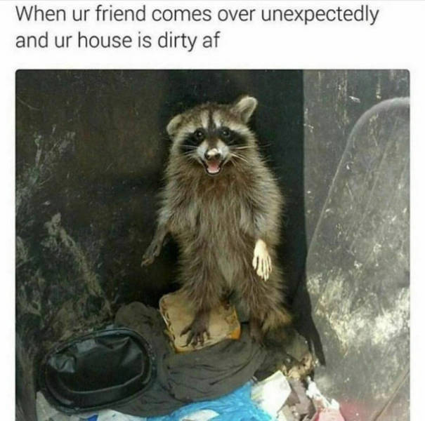 So Dank It Should Be Illegal