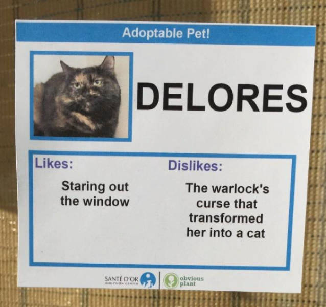 Content Image