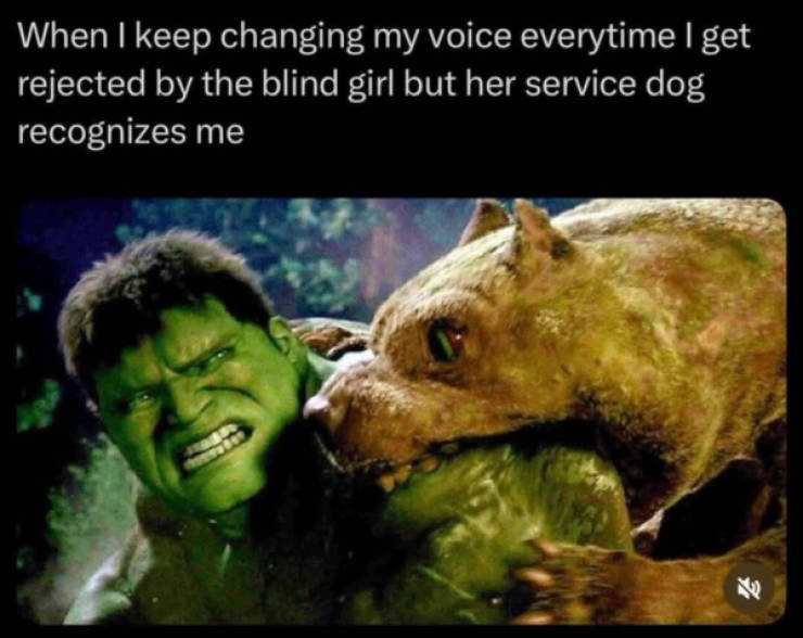 Content Image