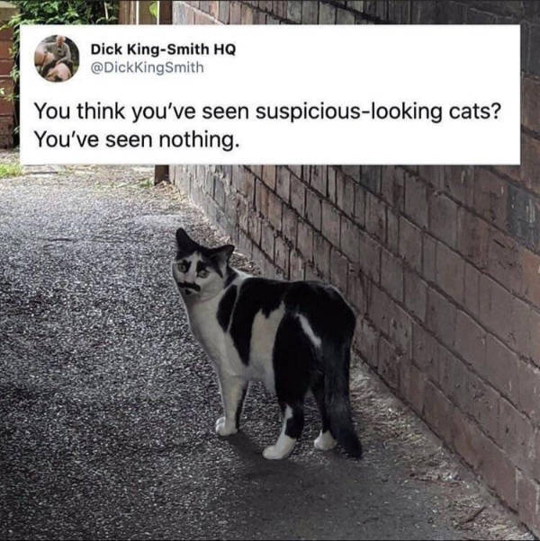 Content Image