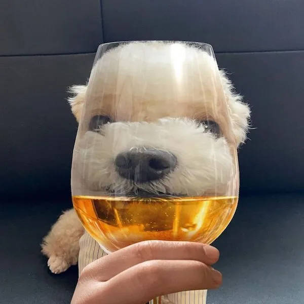 Cheers Everyone!