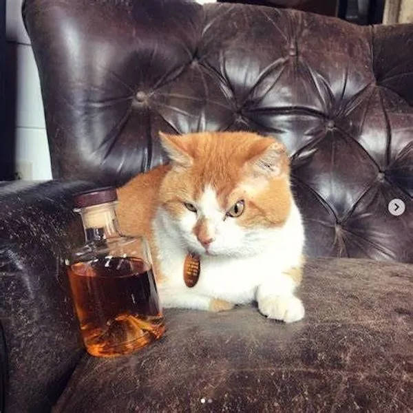 Cheers Everyone!