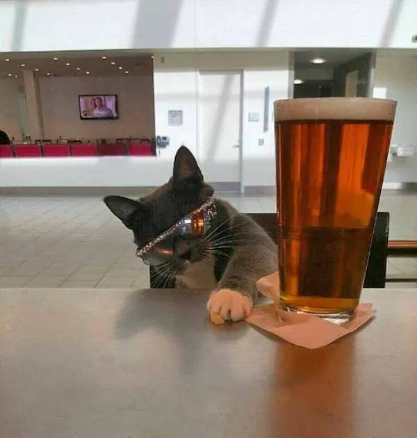 Cheers Everyone!