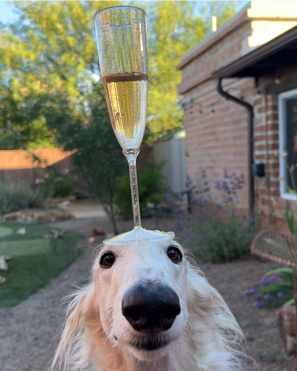 Cheers Everyone!
