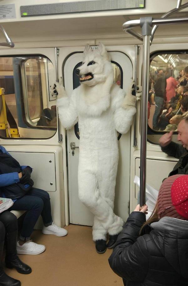 Content Image