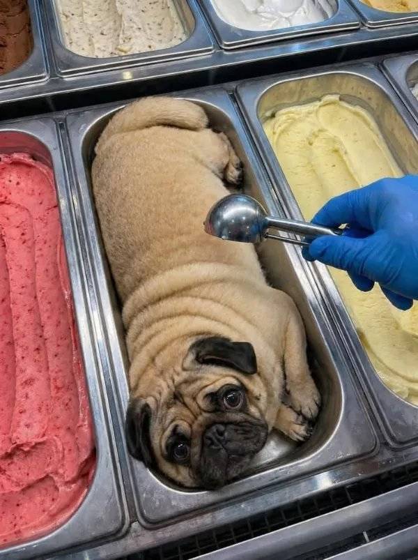 Content Image