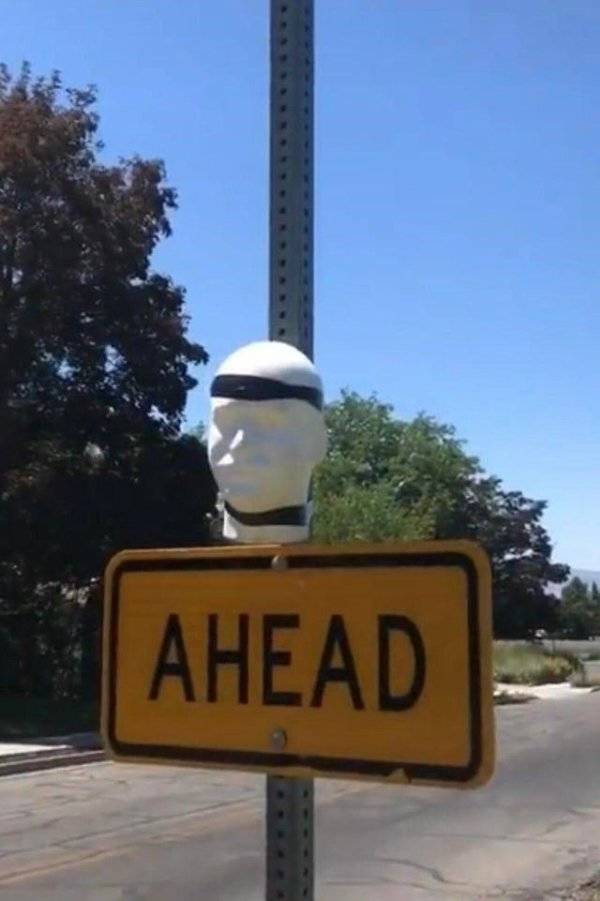 Content Image