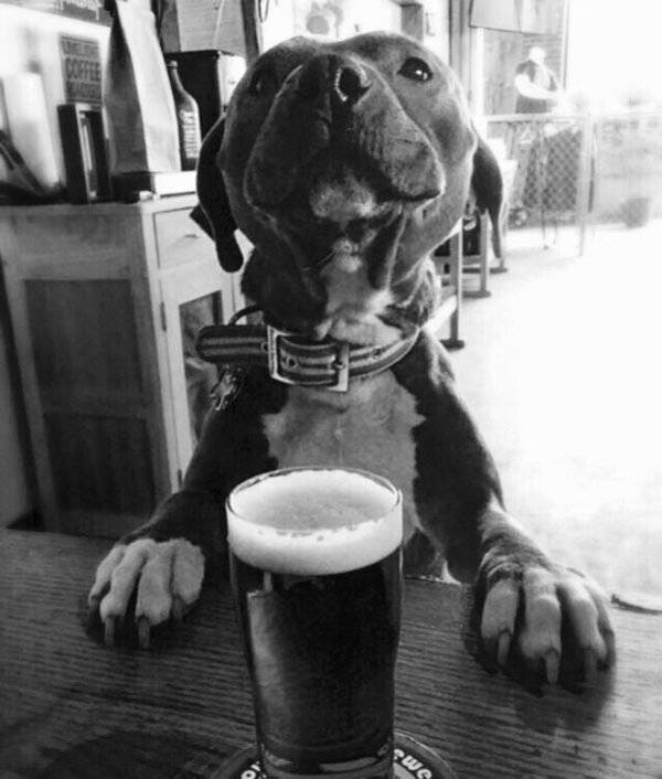 Cheers Everyone!