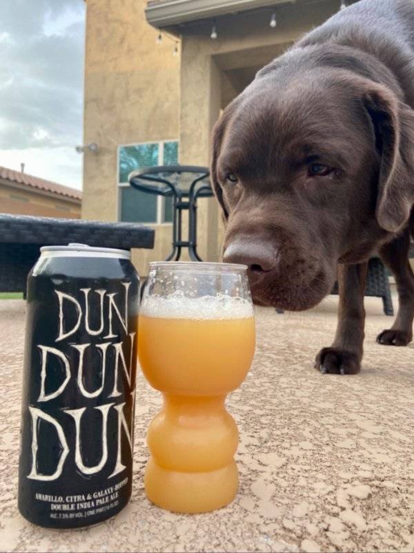 Cheers Everyone!