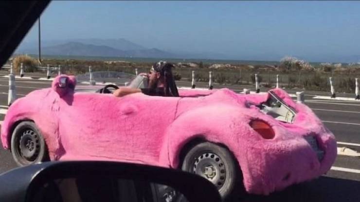 Daily Picdump