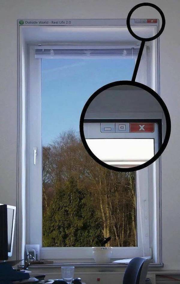 Daily Picdump