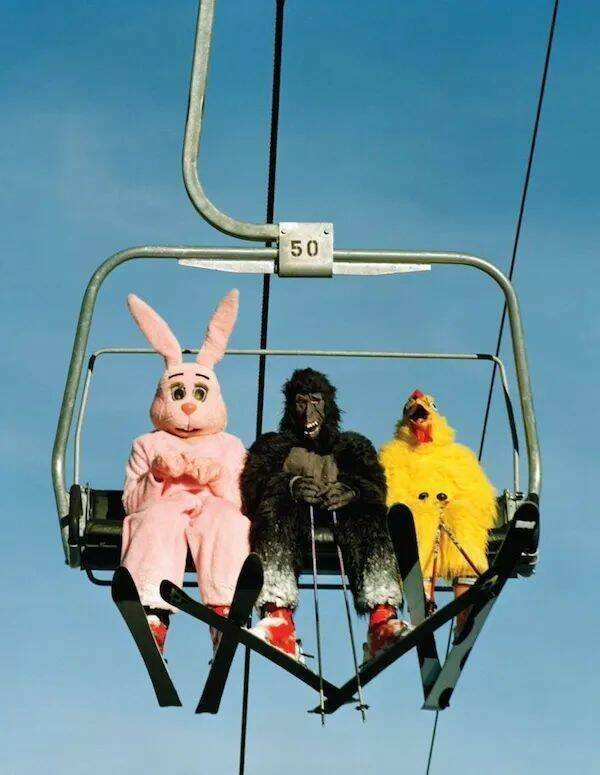 Daily Picdump