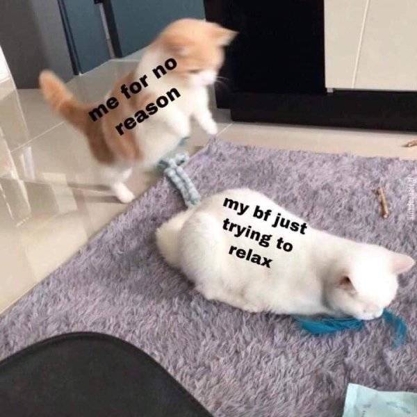 Content Image