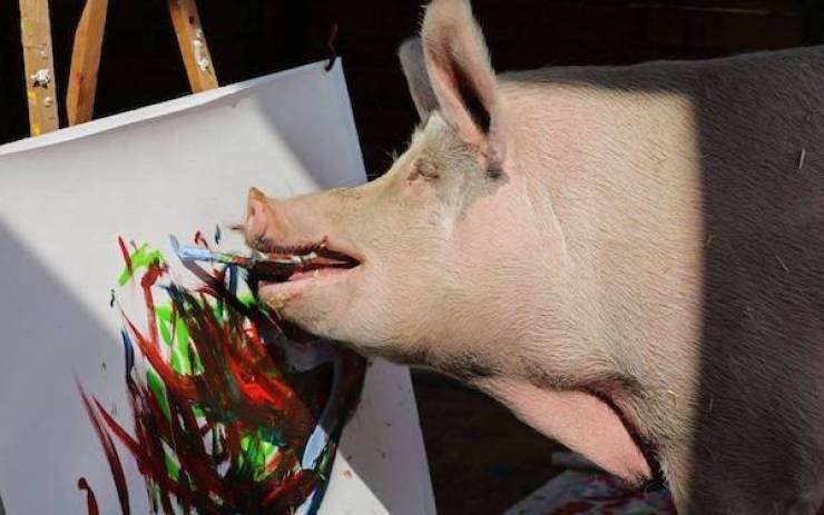 Content Image