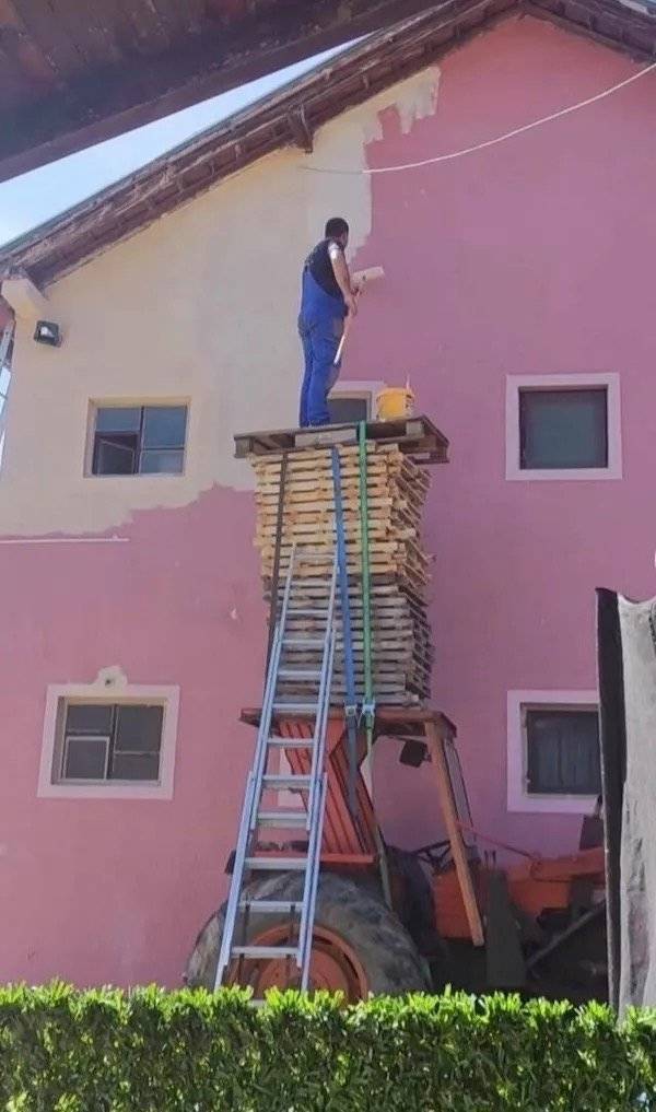 Daily Picdump