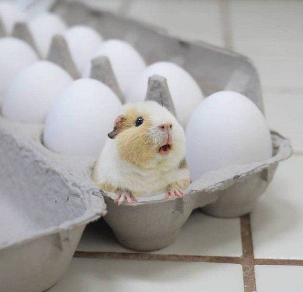 Daily Picdump