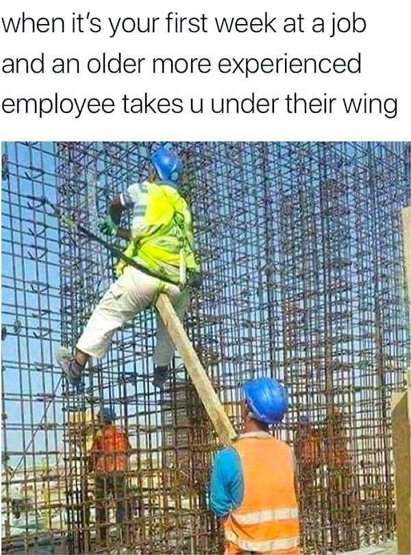 Beer-a-FULL memes for day Drinking