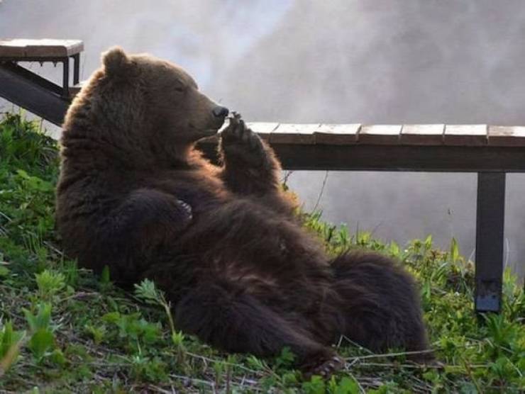 Daily Picdump