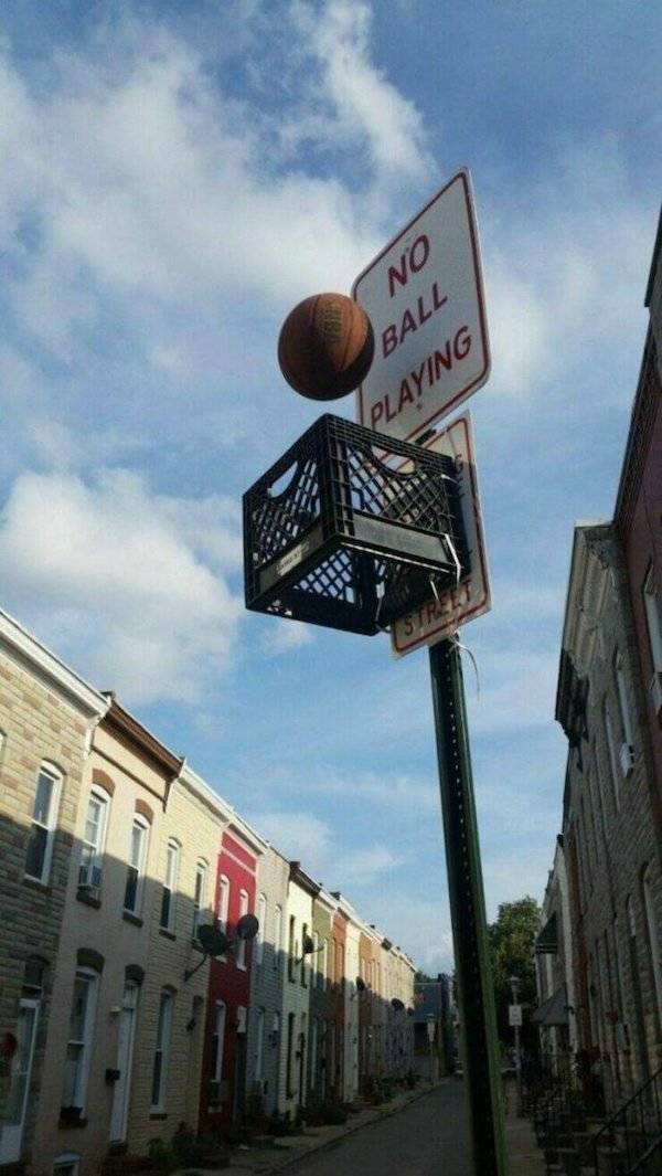 Daily Picdump