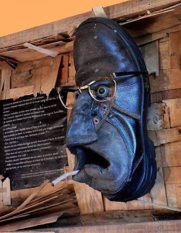 Daily Picdump