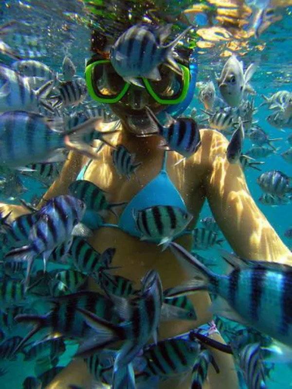 Daily Picdump