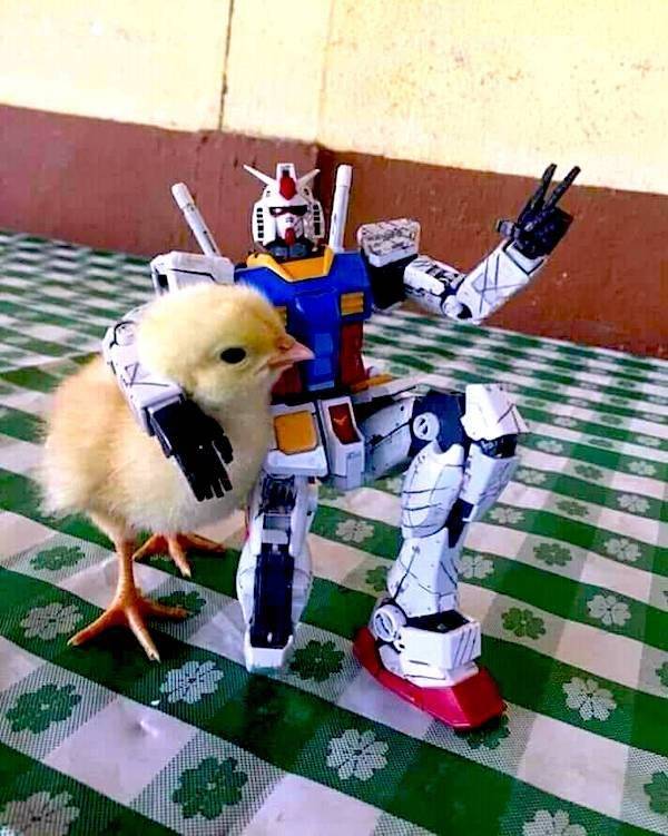 Content Image
