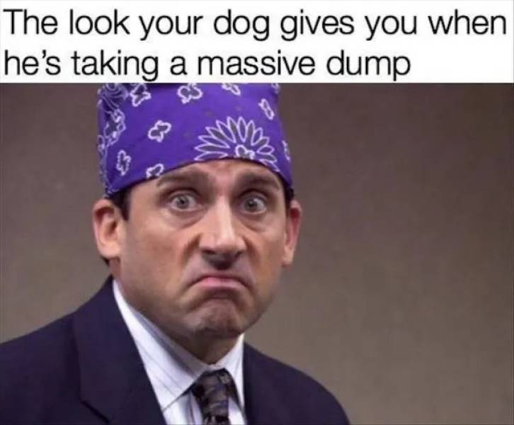Dirty Dump For Dirty Minds