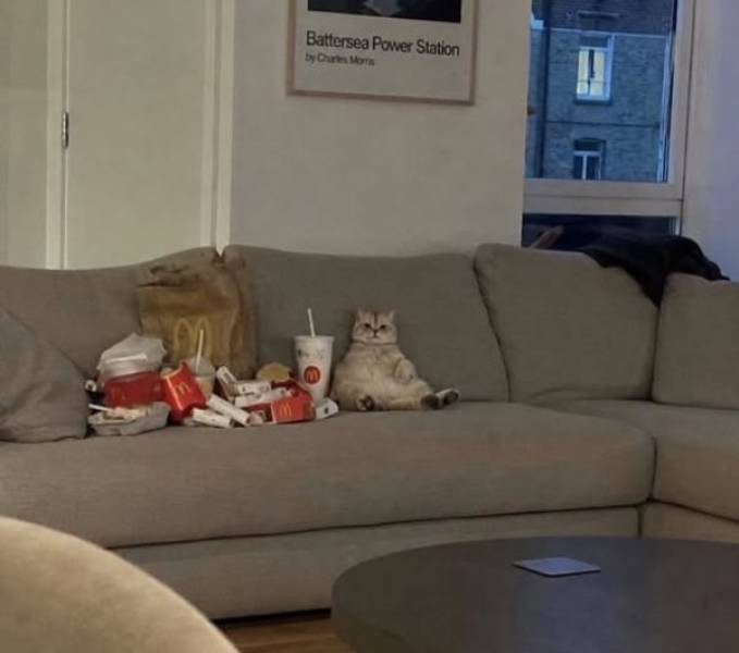 Content Image