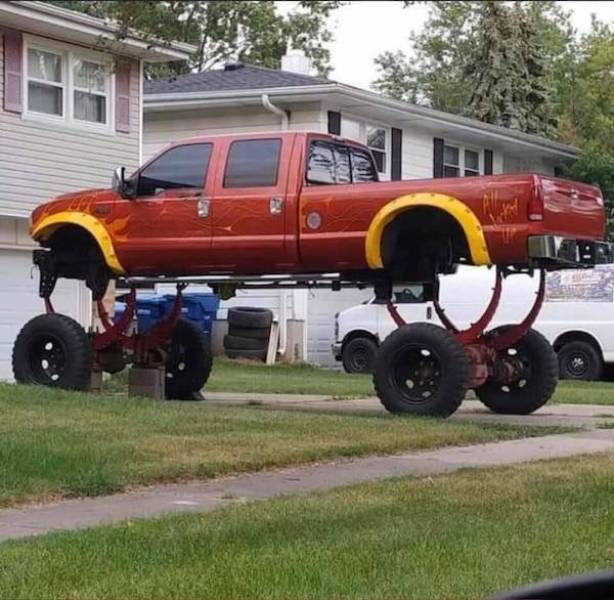 Daily Picdump