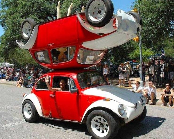 Daily Picdump