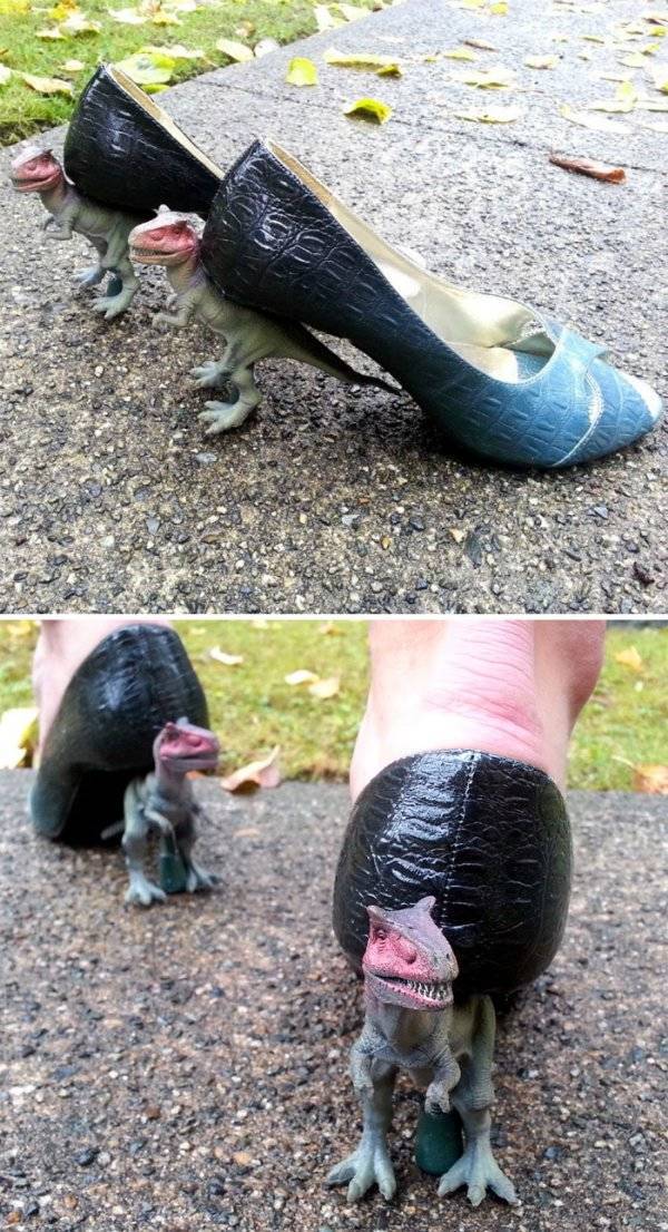 Daily Picdump