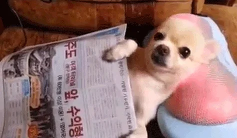 Content Image