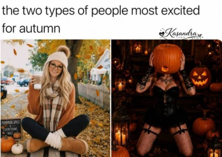 Pure, Unfiltered Dank Memes