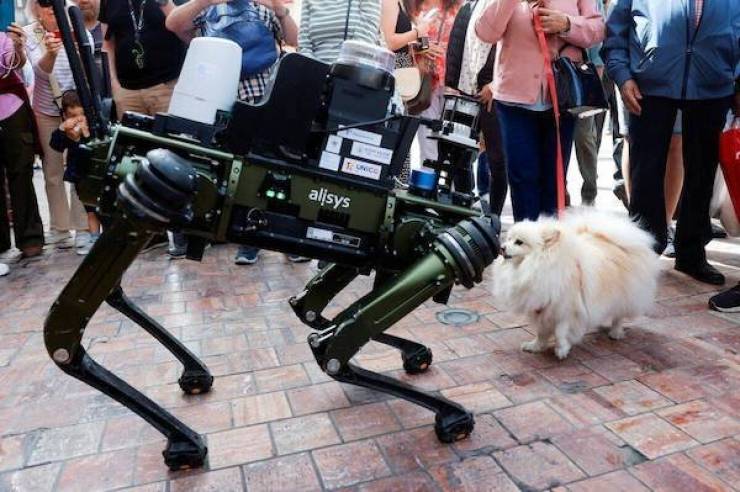 Daily Picdump