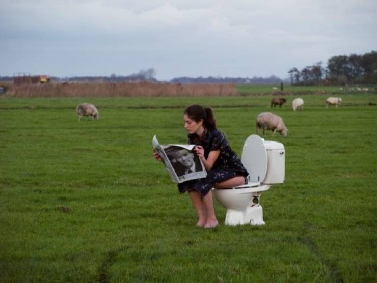 Daily Picdump