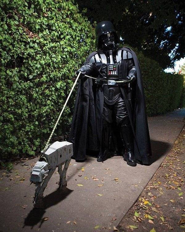 Daily Picdump