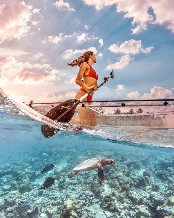 Daily Picdump