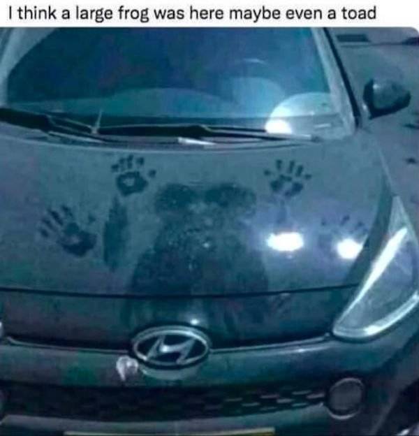 Daily Picdump