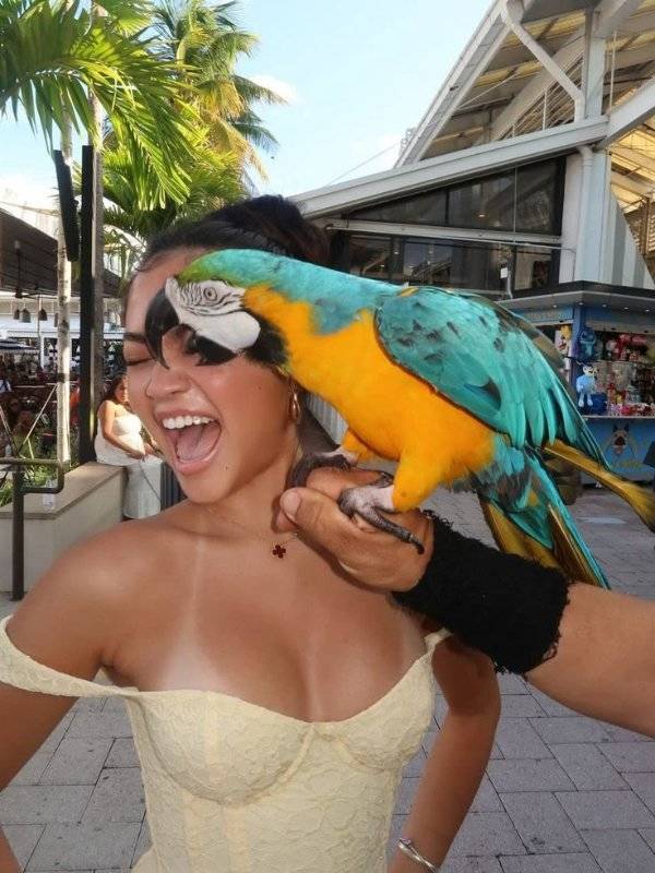 Daily Picdump