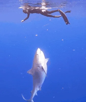 Girls With Skills