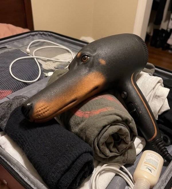 Daily Picdump