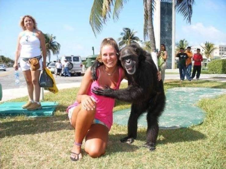 Daily Picdump